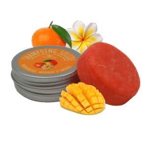 Shampooing solide naturel